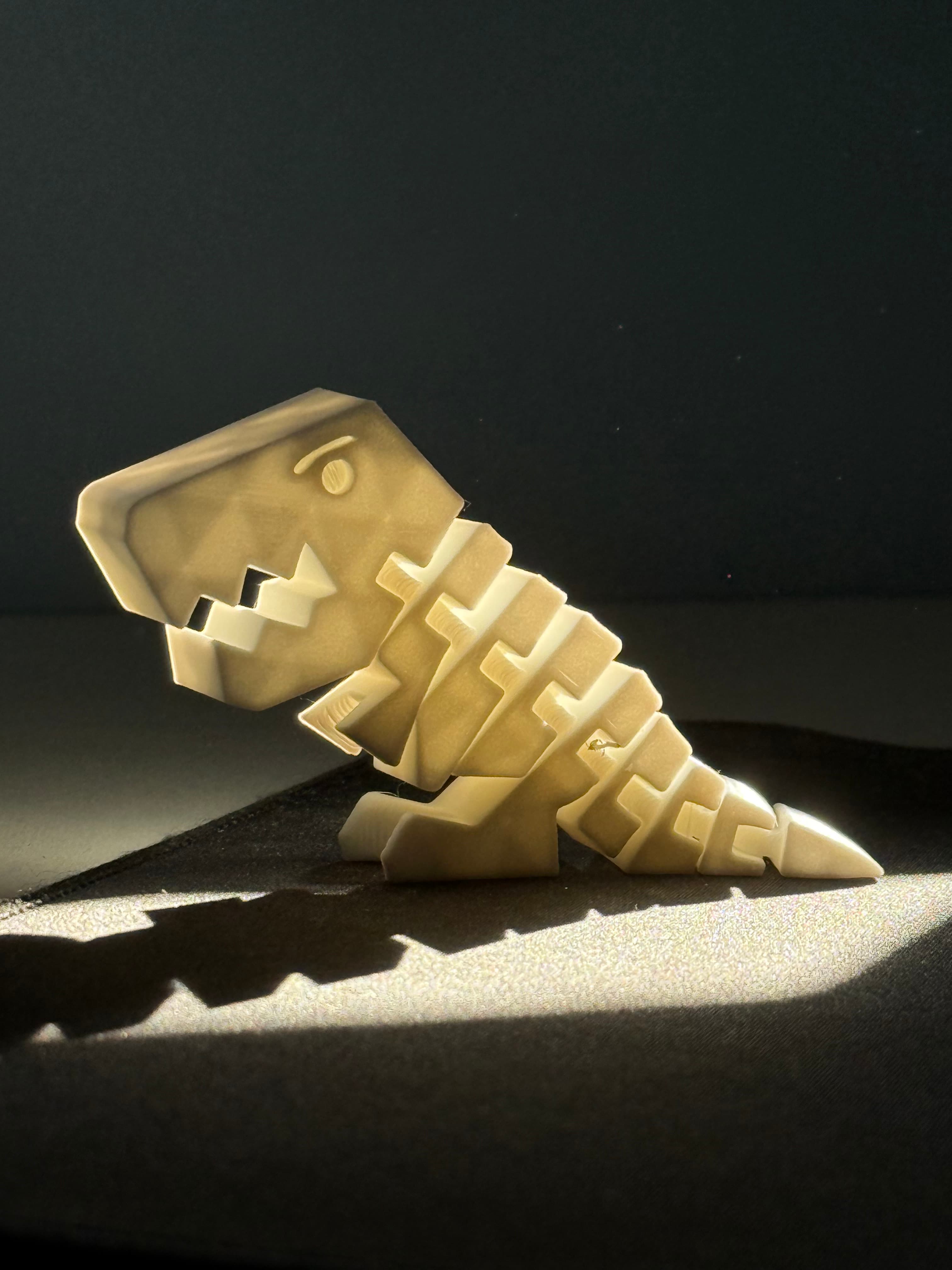 Fleksi Reksi - slika 2